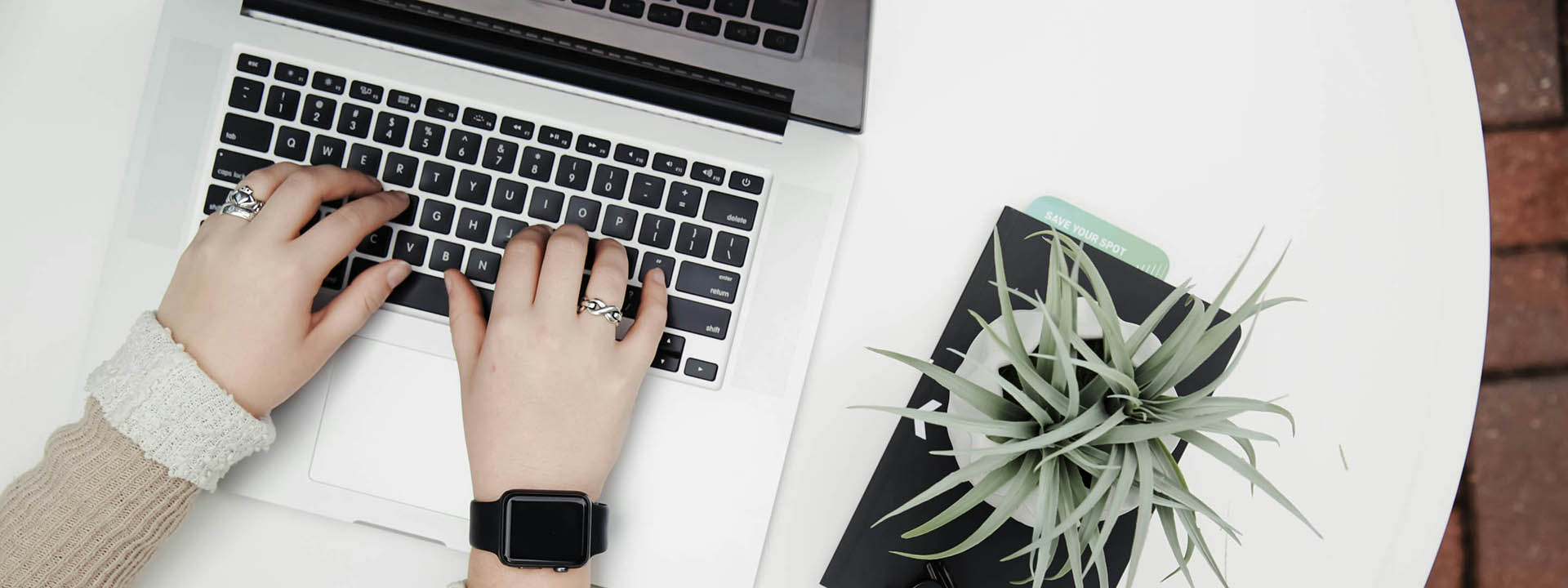 Person working on laptop computer at desk with plant.